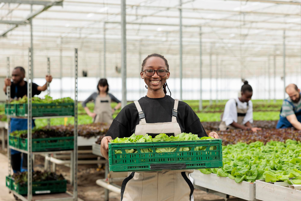 SASHAN farm and processing operations